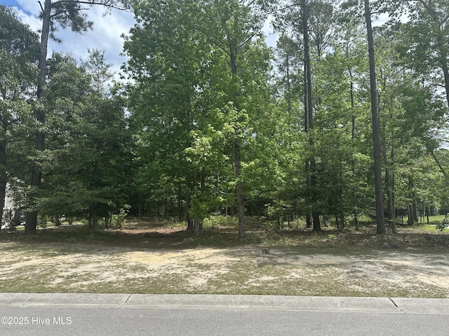 635 Ashbury Dr SE, Bolivia, NC 28422