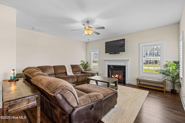 living area featuring baseboards, dark wood-style flooring, ceiling fan, visible vents, and a fireplace with flush hearth