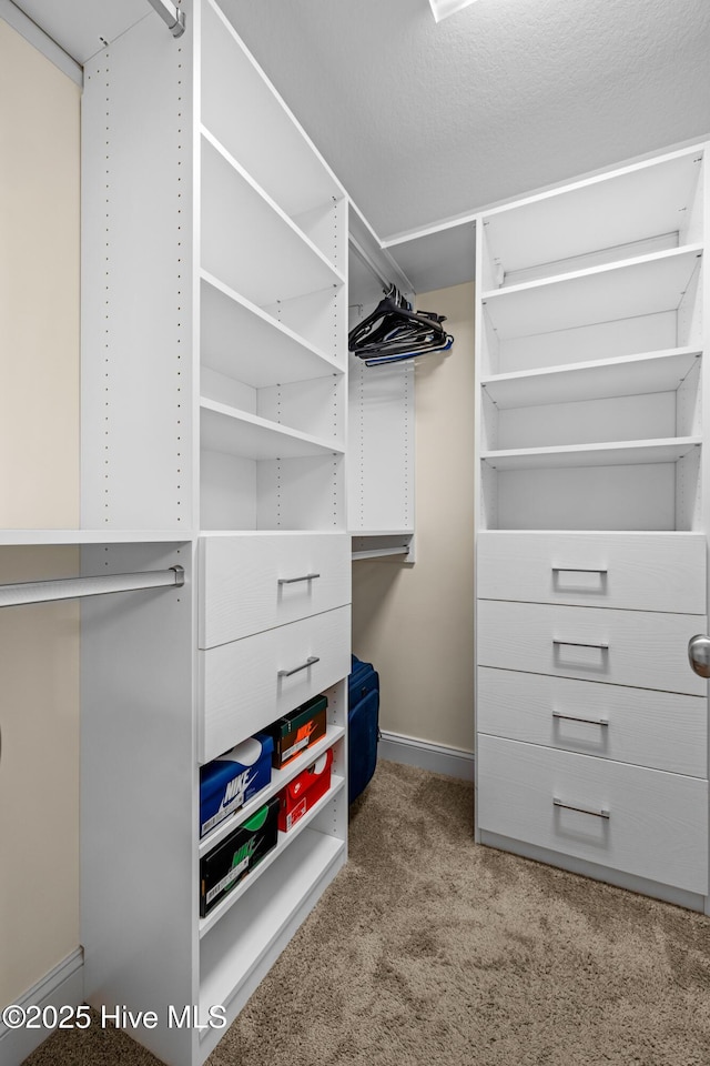 walk in closet featuring carpet
