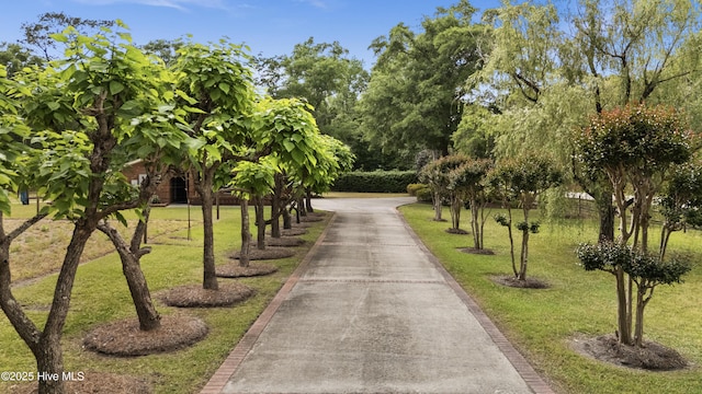view of home's community featuring a yard and asphalt driveway