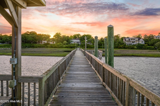 dock area with a water view