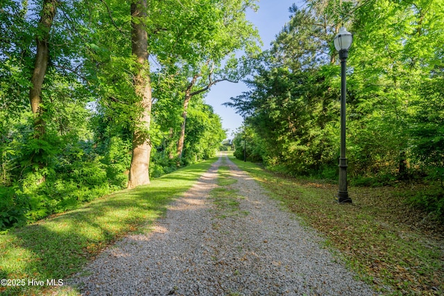 1835 Middle Sound Loop Rd, Wilmington, NC 28411 - view of dirt / gravel road