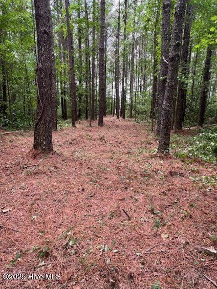 312 Riversound Dr, Edenton, NC 27932