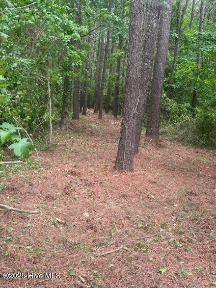 312 Riversound Dr, Edenton, NC 27932