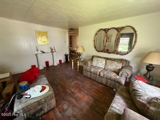 113 Winesett Cir, Plymouth, NC 27962 - living area with wood finished floors
