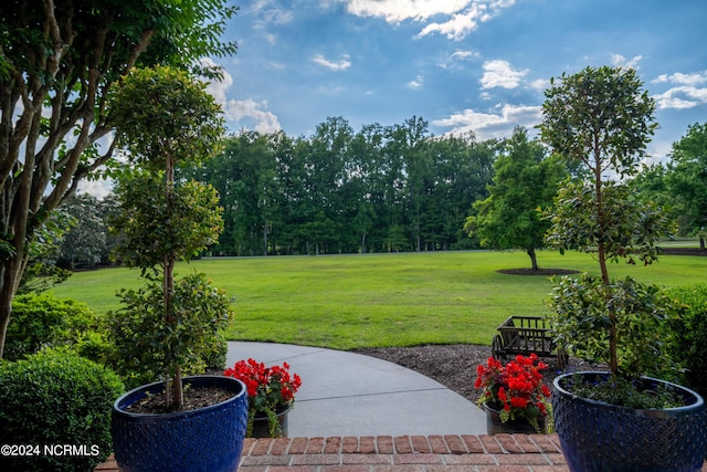 390 Whitebridge Rd, Hampstead, NC 28443 - view of yard