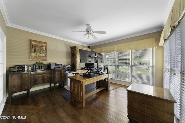 390 Whitebridge Rd, Hampstead, NC 28443 - office space with a ceiling fan, crown molding, and dark wood-style floors