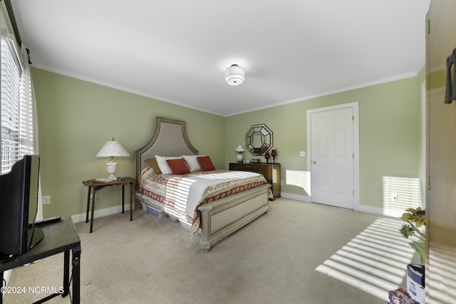 390 Whitebridge Rd, Hampstead, NC 28443 - carpeted bedroom with crown molding and baseboards