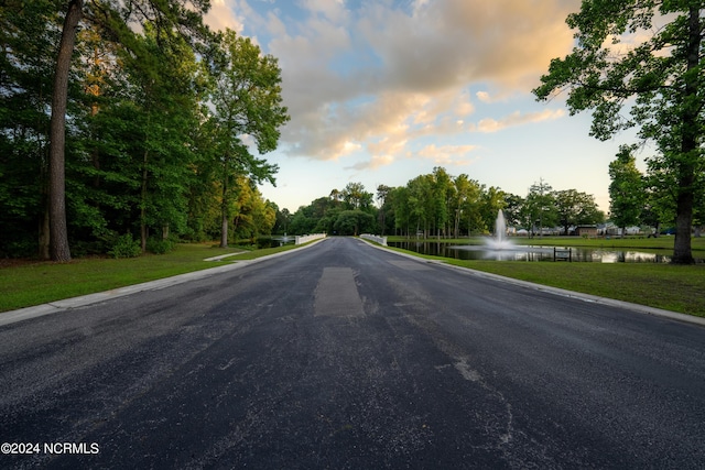 390 Whitebridge Rd, Hampstead, NC 28443 - view of street with curbs and a water view