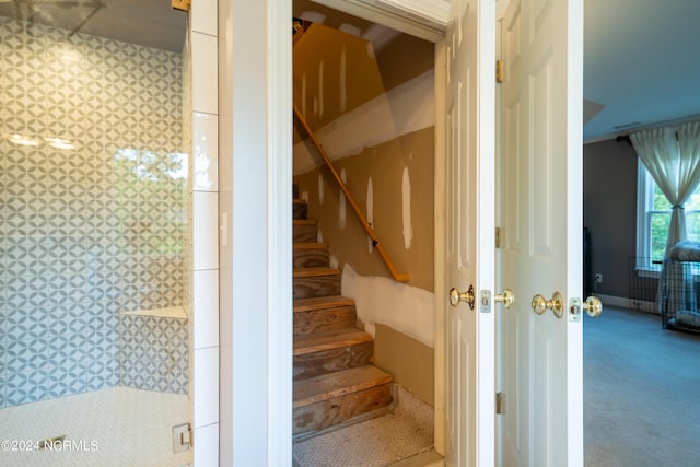 390 Whitebridge Rd, Hampstead, NC 28443 - staircase with carpet floors
