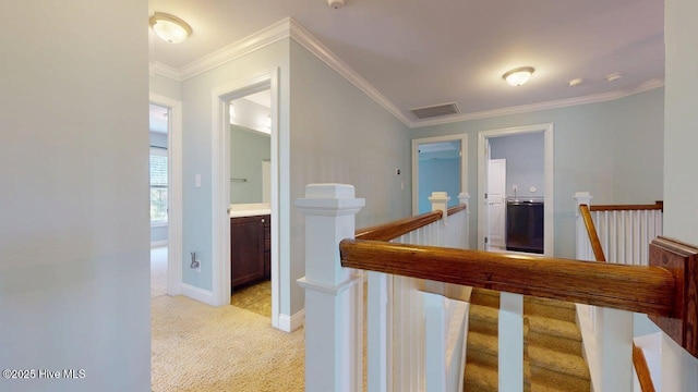 149 Mardella Way, Holly Ridge, NC 28445 - hallway with an upstairs landing, light colored carpet, crown molding, and baseboards