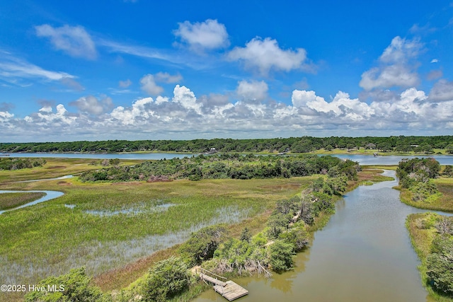 1063 Tide Ridge Dr, Supply, NC 28462 - aerial view of a nearby body of water
