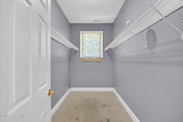 310 Garnercrest Rd, Wilmington, NC 28411 - walk in closet featuring carpet