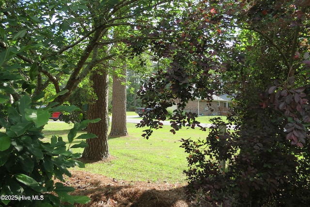 view of grassy yard