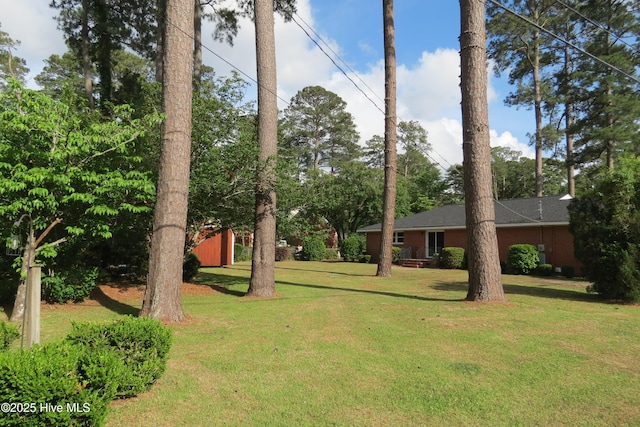 view of green lawn