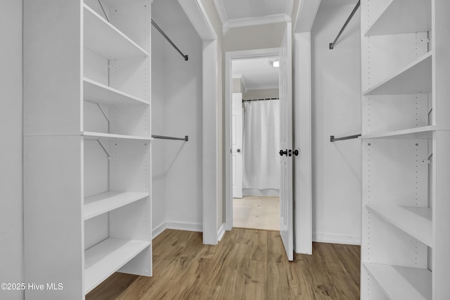 7404 Countywood Way, Wilmington, NC 28411 - walk in closet with wood finished floors