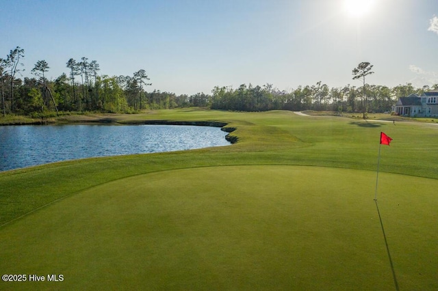 1106 Jamesford Ct, Leland, NC 28451 - surrounding community featuring a water view, view of golf course, and a putting green