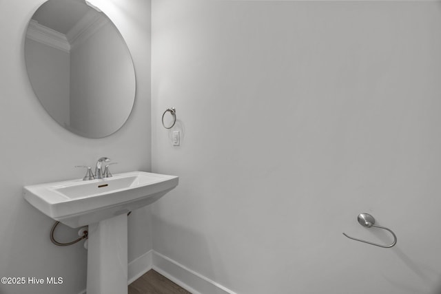 104 Two Sisters Ter, Sneads Ferry, NC 28460 - bathroom with baseboards, ornamental molding, and wood finished floors