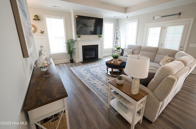 6959 Gracieuse Ln SW, Ocean Isle Beach, NC 28469 - living room with crown molding, dark wood finished floors, and a fireplace with flush hearth