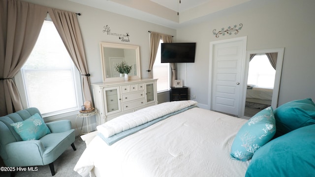 6959 Gracieuse Ln SW, Ocean Isle Beach, NC 28469 - carpeted bedroom featuring multiple windows