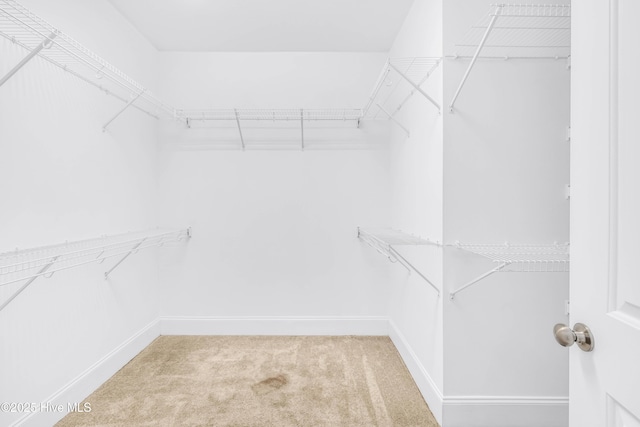 spacious closet with carpet flooring