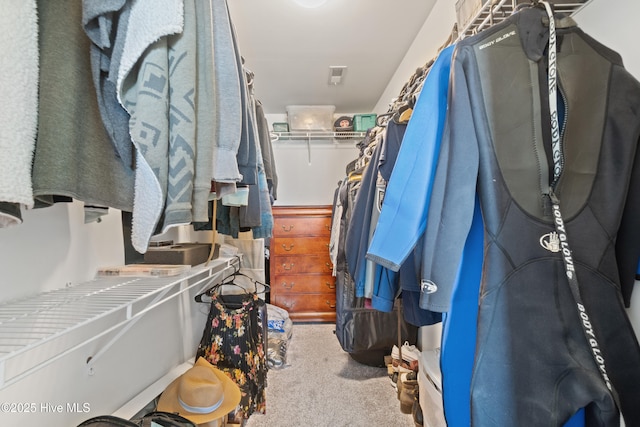 spacious closet with carpet flooring