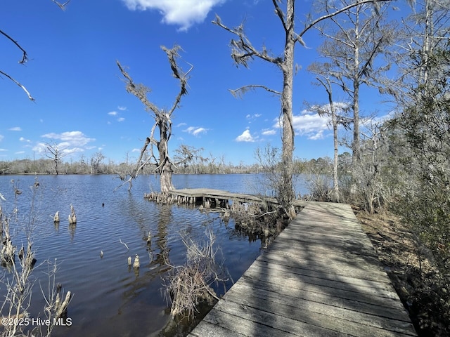 dock area featuring a water view