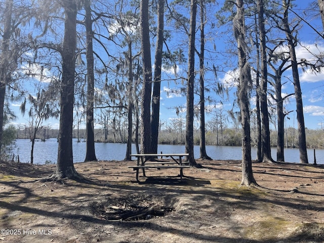 view of home's community featuring a water view
