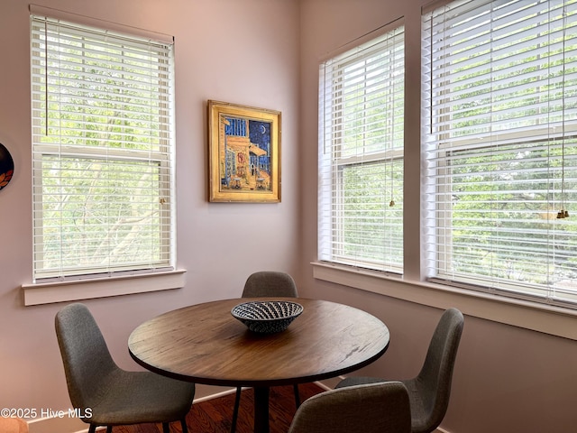 view of dining space