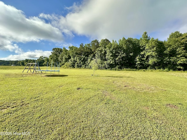 101 Pete Bunch Ln, Hobbsville, NC 27946 - view of green lawn with a trampoline