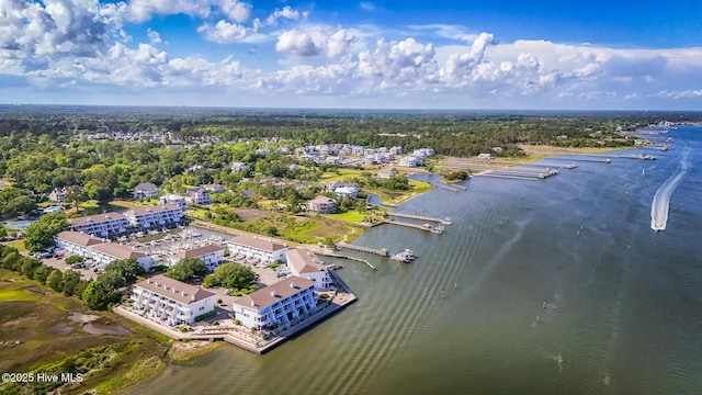 aerial view of a large body of water