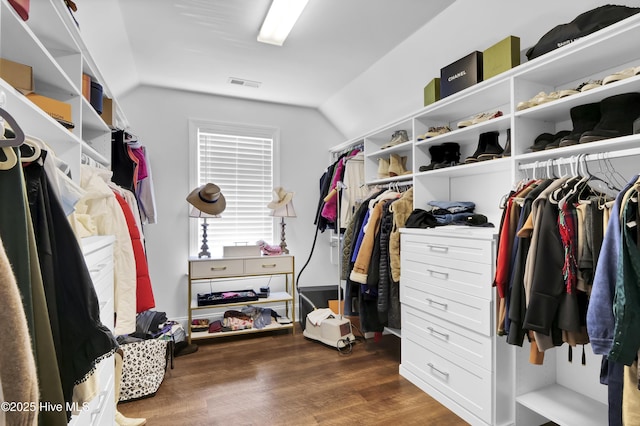 5606 Swiss Stone Ct, Wilmington, NC 28412 - spacious closet featuring vaulted ceiling and dark wood-style floors