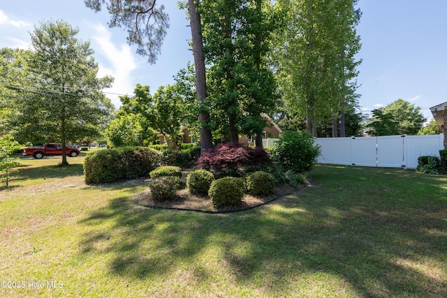 view of yard featuring a gate