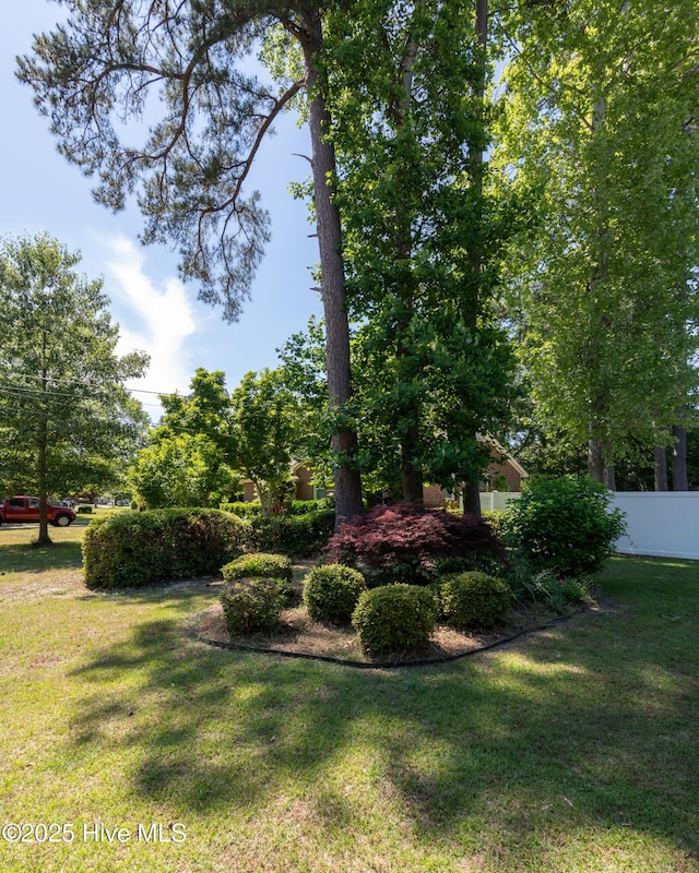 view of grassy yard