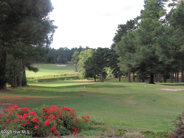 1 Eliot Ct, Jackson Springs, NC 27281 - view of community with golf course view, a water view, a yard, and view of wooded area