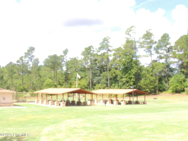 1 Eliot Ct, Jackson Springs, NC 27281 - view of home's community featuring a lawn, a gazebo, and view of scattered trees