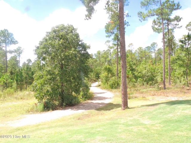 1 Eliot Ct, Jackson Springs, NC 27281 - view of green lawn