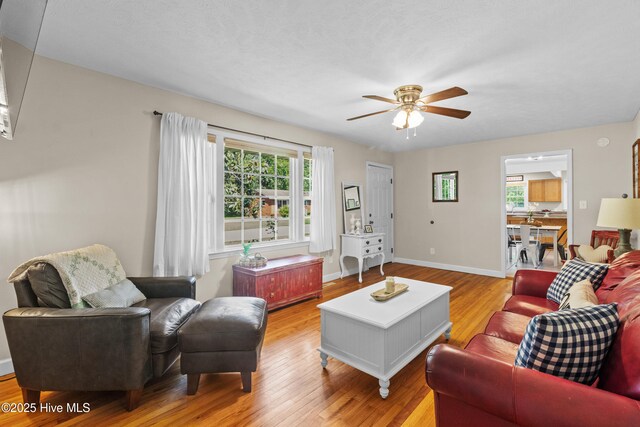 113 S Canal St, Whiteville, NC 28472 - living room with ceiling fan, light wood finished floors, and baseboards