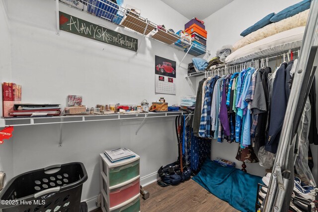171 Adams Ln, Washington, NC 27889 - spacious closet with wood finished floors