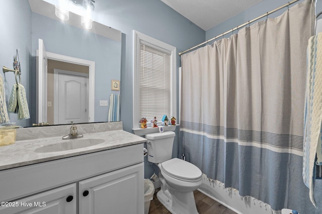 171 Adams Ln, Washington, NC 27889 - bathroom with wood finished floors, vanity, toilet, and a shower with shower curtain