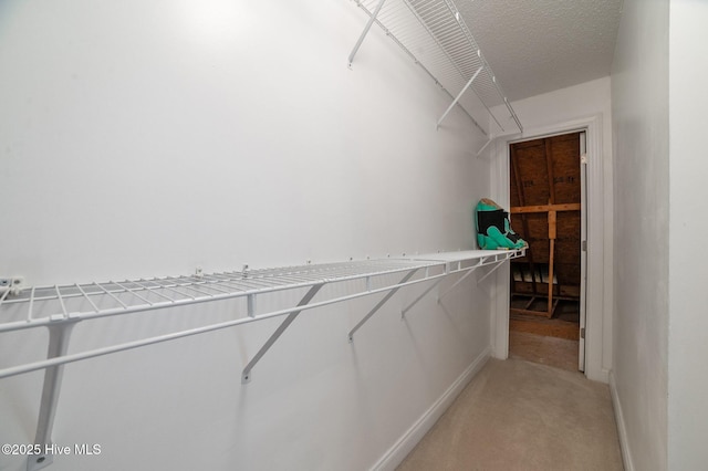 171 Adams Ln, Washington, NC 27889 - spacious closet with light carpet