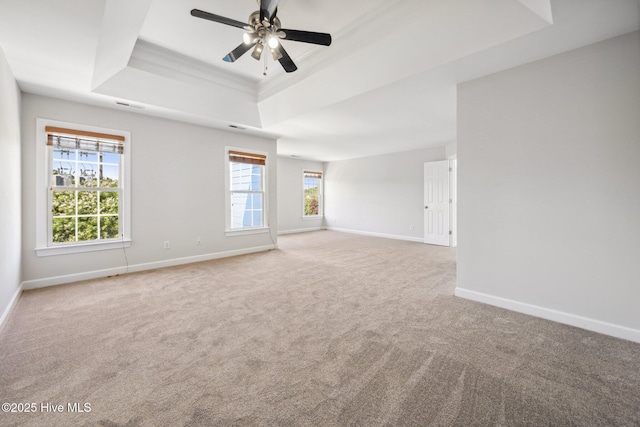 870 Wine Cellar Cir, Wilmington, NC 28411 - spare room with a tray ceiling, carpet floors, baseboards, plenty of natural light, and crown molding