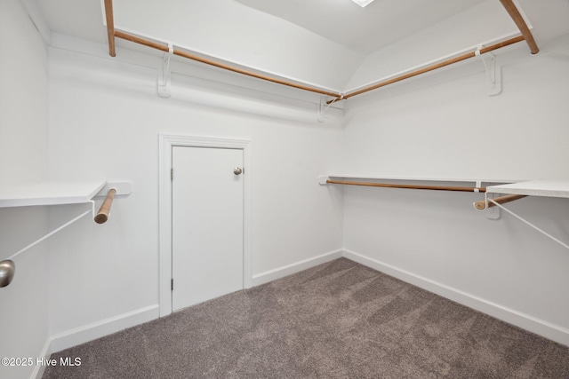 870 Wine Cellar Cir, Wilmington, NC 28411 - walk in closet with carpet flooring