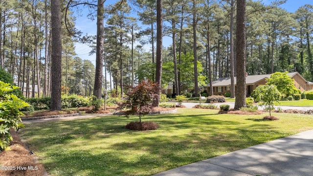 224 Westview Park Dr, Rocky Mount, NC 27804 - view of property's community with a yard