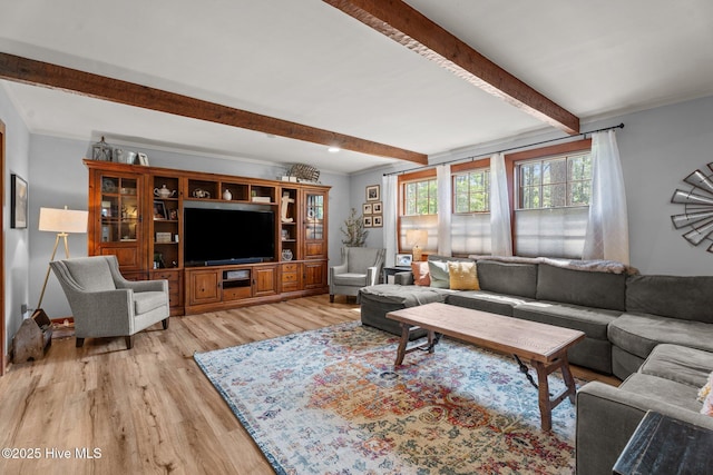 224 Westview Park Dr, Rocky Mount, NC 27804 - living room with beam ceiling, light wood-style flooring, and ornamental molding