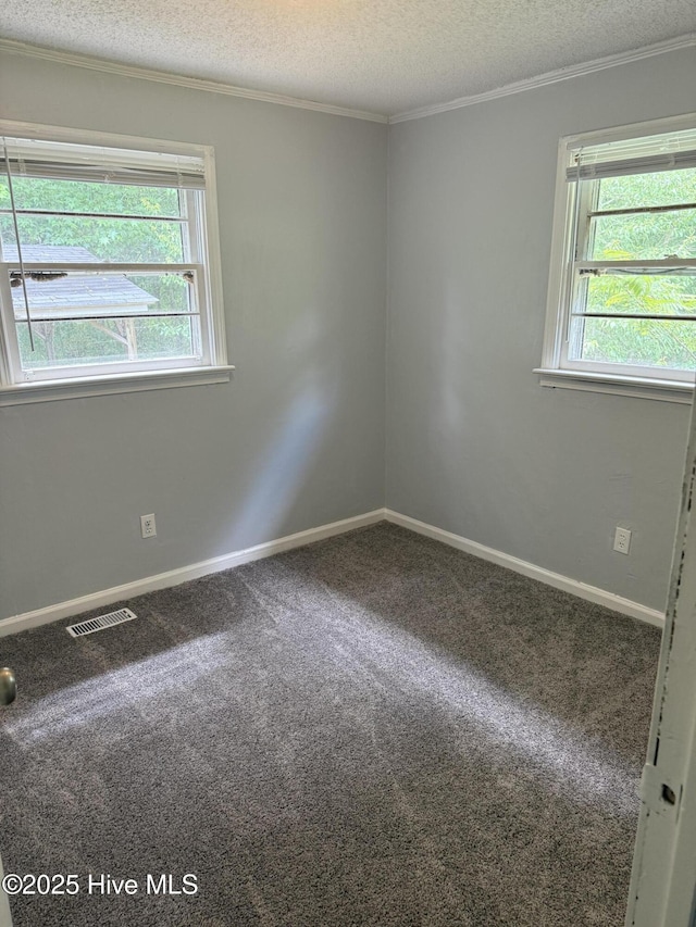 carpeted empty room with healthy amount of natural light, a textured ceiling, ornamental molding, and baseboards