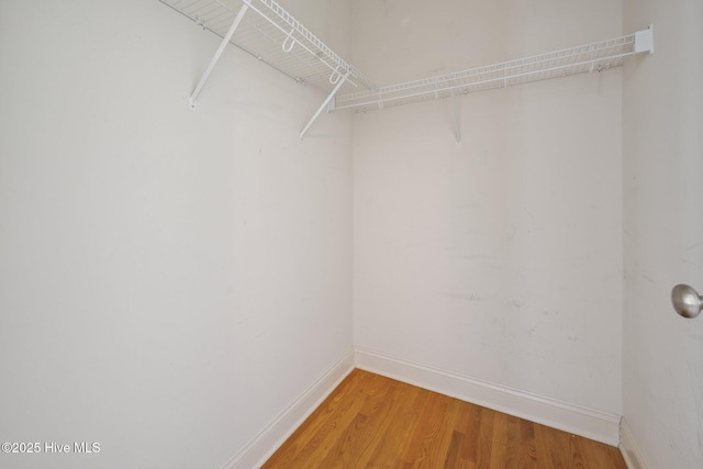 walk in closet with light wood-style flooring