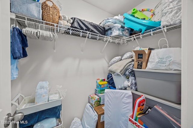 view of spacious closet