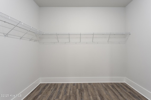 778 Hollybriar Loop Rd SE, Bolivia, NC 28422 - walk in closet featuring dark wood-style floors