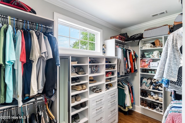 spacious closet featuring wood finished floors